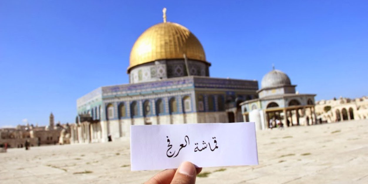 qmasha's profile banner image