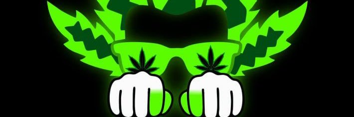 GreenLadystyle's profile banner image