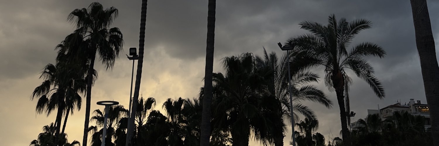 srnpld's profile banner image