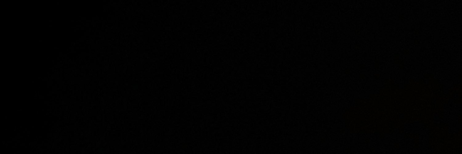 linzrg's profile banner image