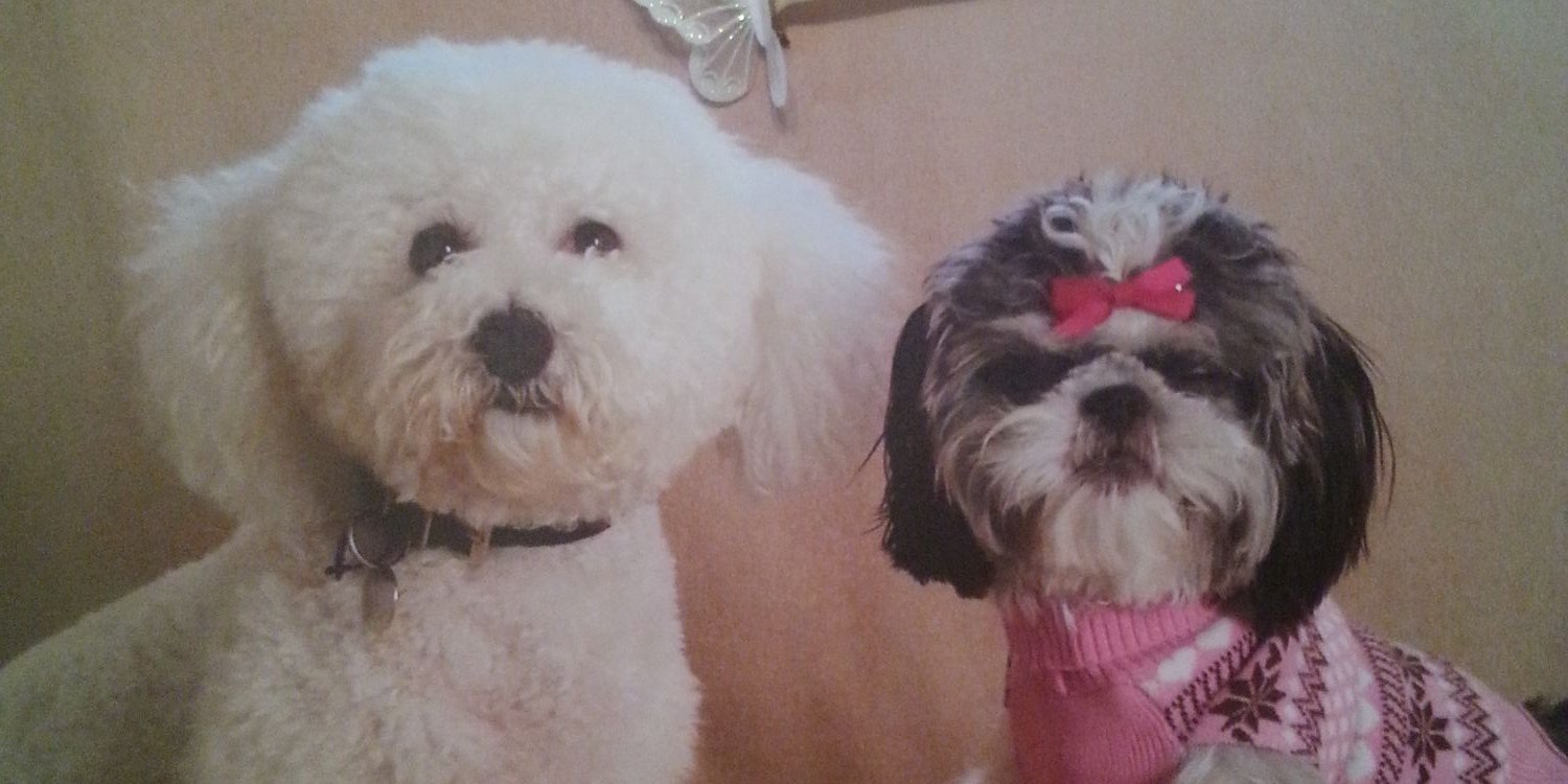 MaisyandToby's profile banner image