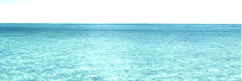 ninabclgdr's profile banner image