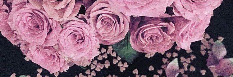 cellerbrook1's profile banner image