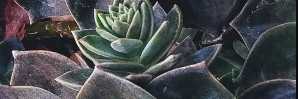 Ryane Kristine banner