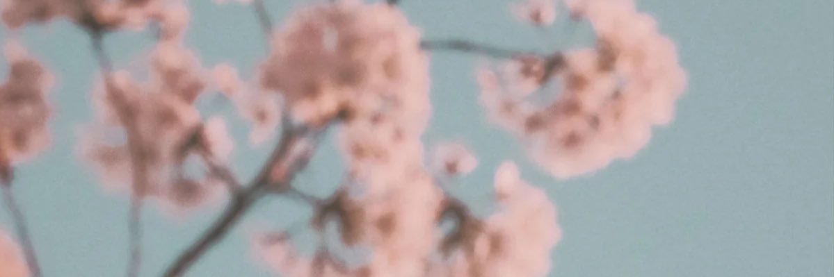 𝑠𝑎𝑘𝑖 banner