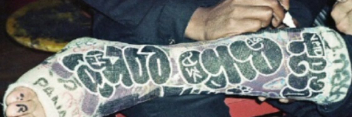 trips banner