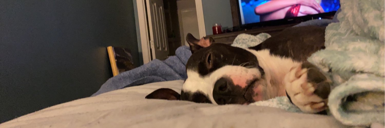 pretty girl banner