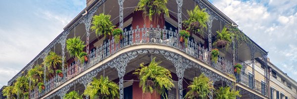 Bluuwise Profile Banner