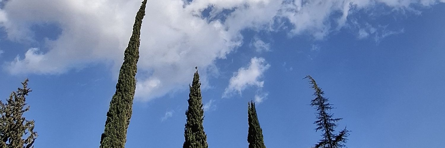 YeterZag's profile banner image