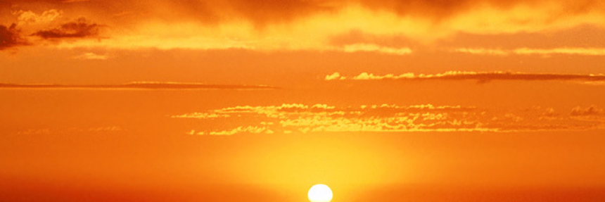 NHCRegional4 banner