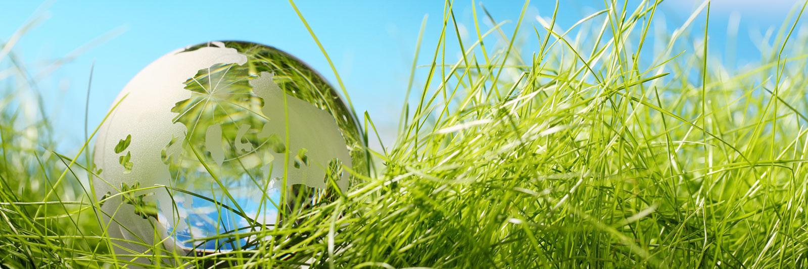 WRSCNews's profile banner image