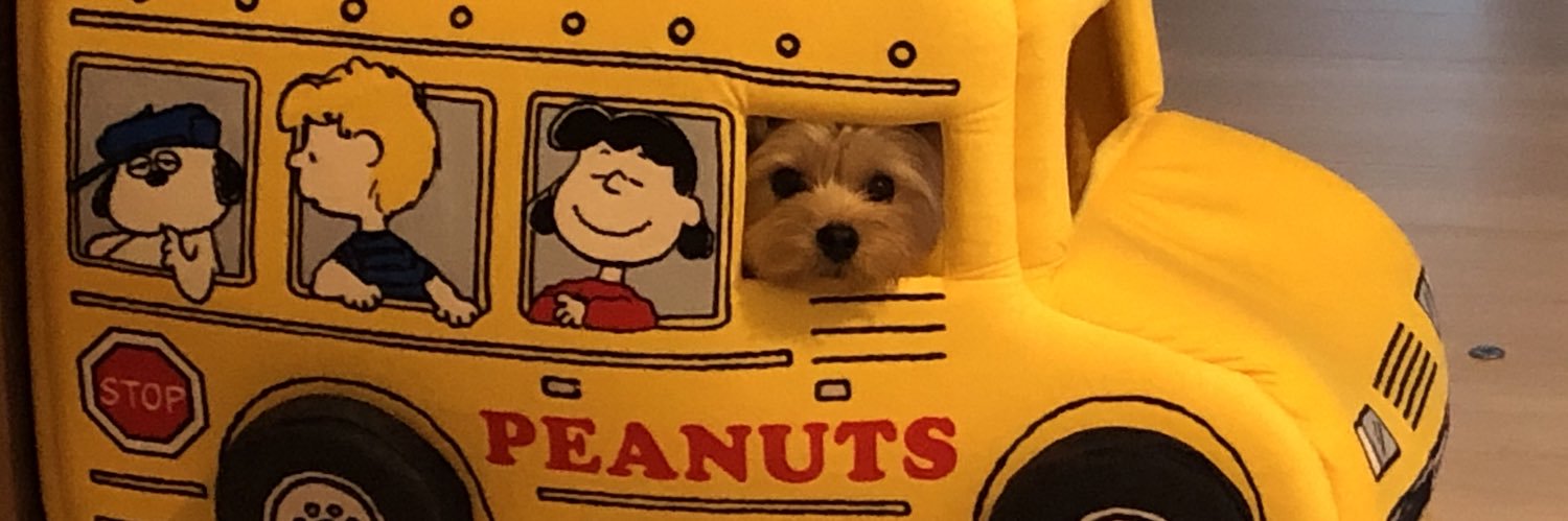 タケベエイスケ banner