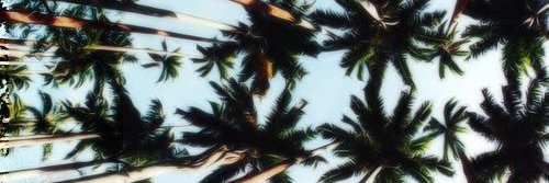 VeeVeronicaa's profile banner image