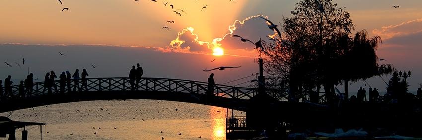 afitap__'s profile banner image