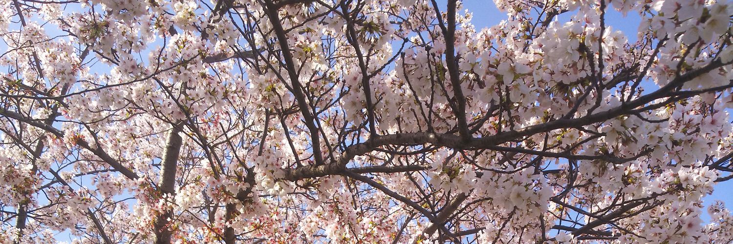 Foyukbhq's profile banner image