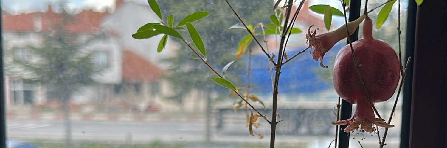 pardon__'s profile banner image