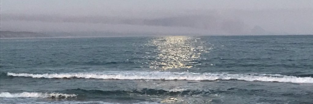 Carey_Dodd's profile banner image