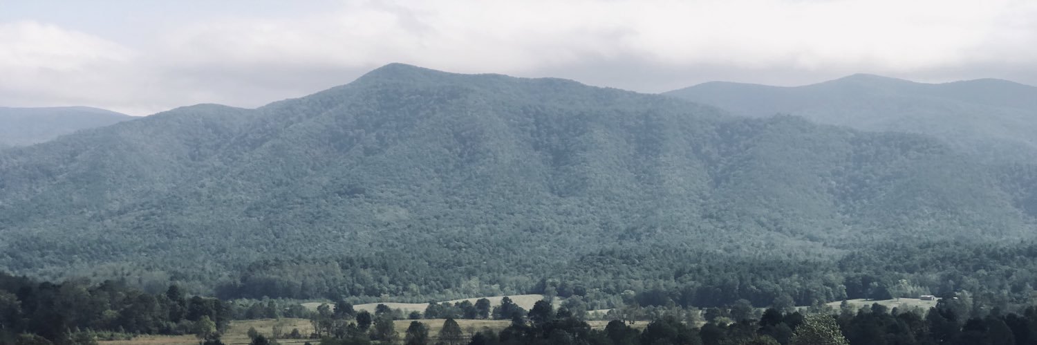 LevyChandler's profile banner image