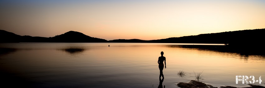 Francois Cémoi banner