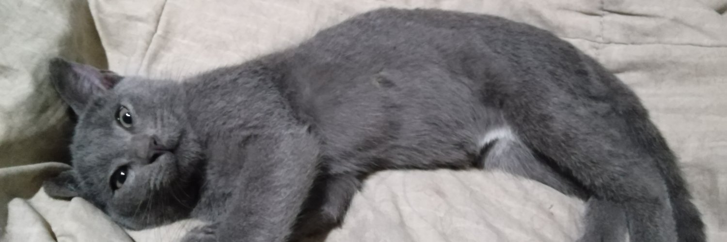 mertkadir06's profile banner image