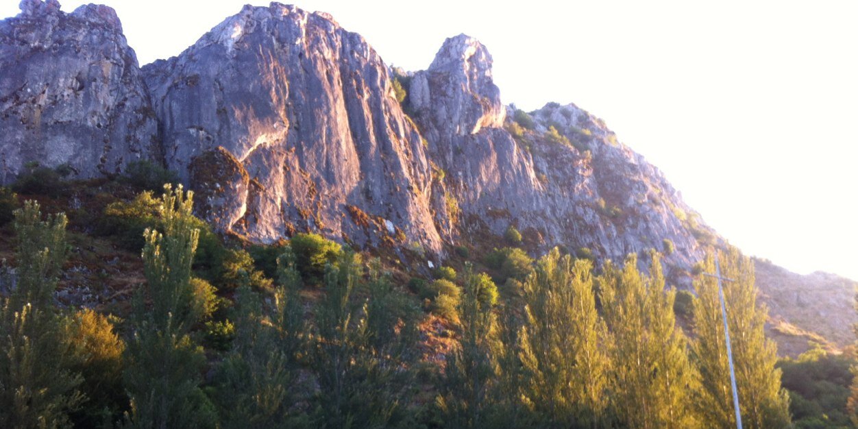 salva_calvo's profile banner image