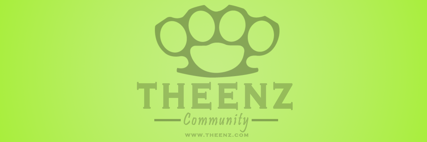 TheEnz Community banner