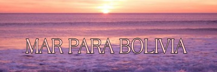 PinkieWarmi's profile banner image