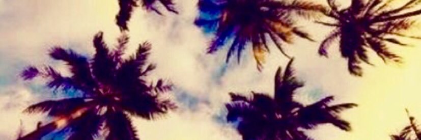 A_Traficant's profile banner image