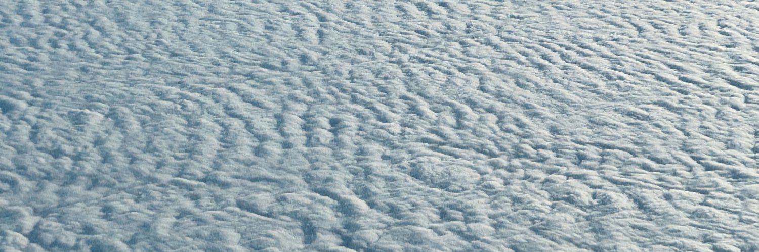 Carolina Schwalb banner