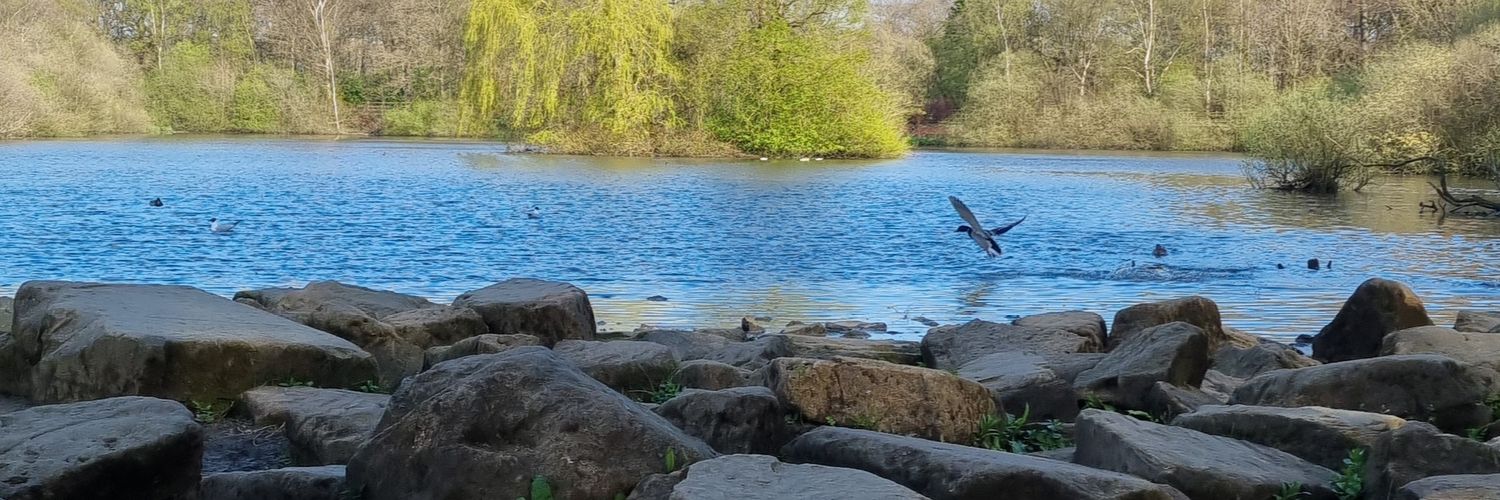 Leeds_Wanderer banner