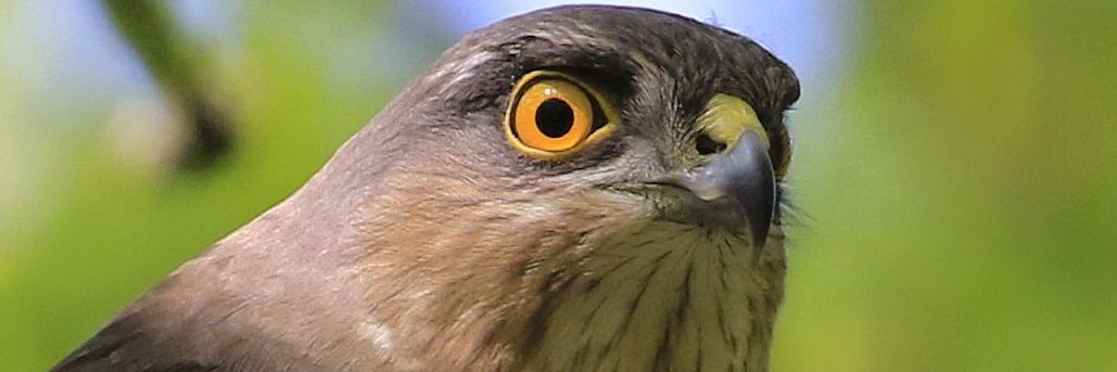 karlpriceps3's profile banner image