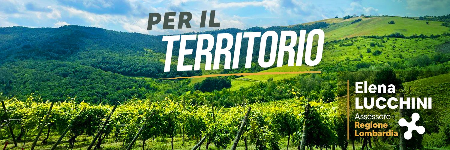 Elena Lucchini banner