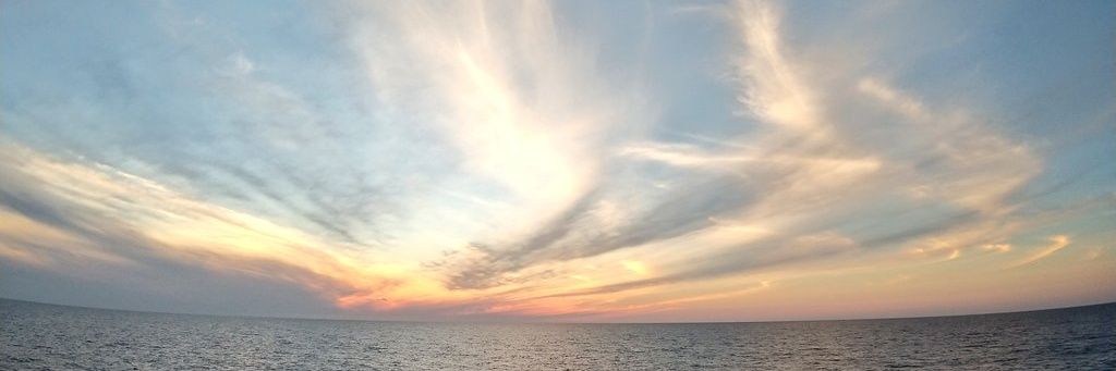 Curare_wrwrd's profile banner image