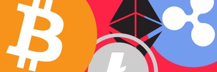 Елизавета Подхалюзина banner