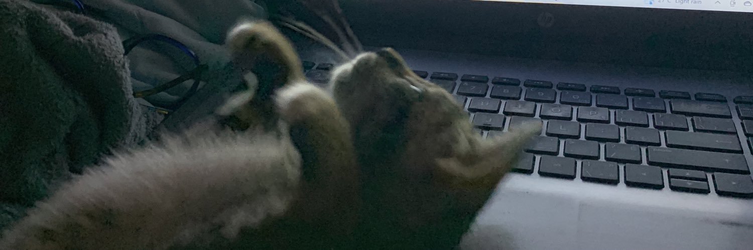 baaannj's profile banner image