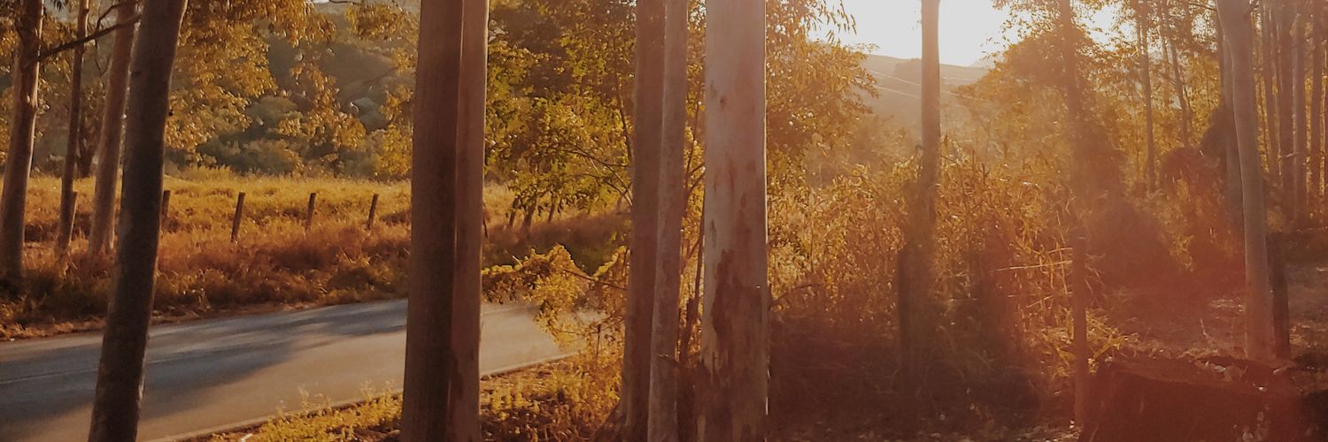joaolevada's profile banner image