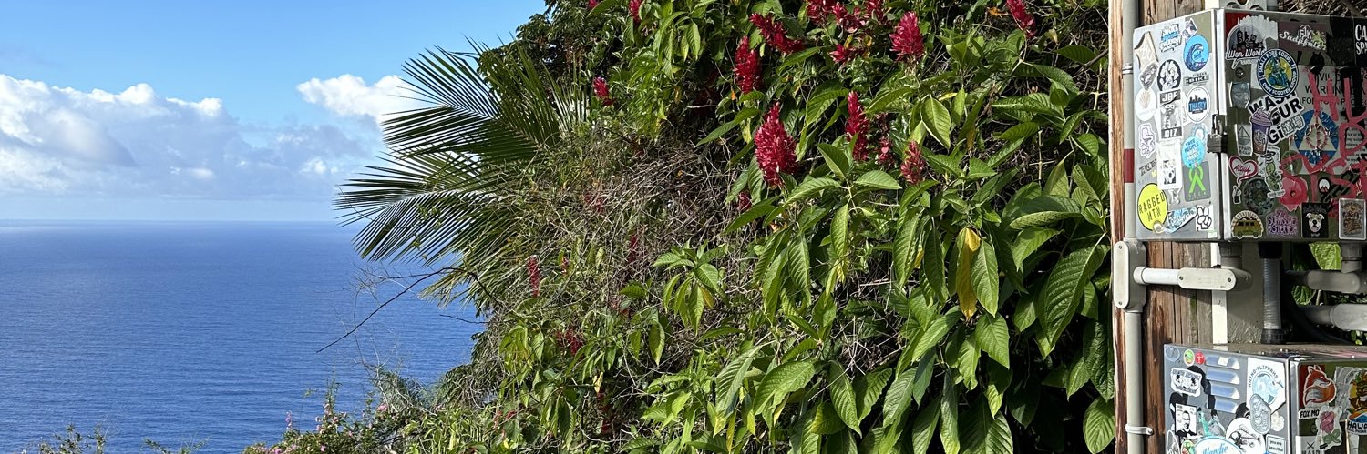 maya_rosaaa's profile banner image