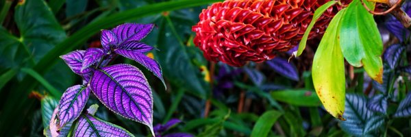 _MariaSM_ Profile Banner