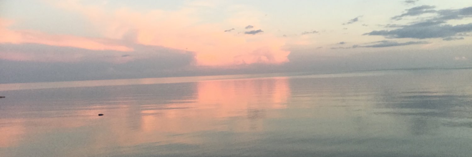 SuzanneLepage's profile banner image