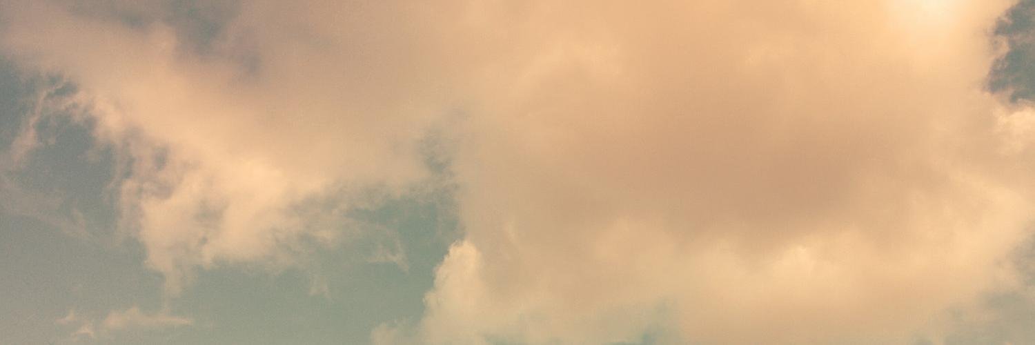 brucewpaul's profile banner image