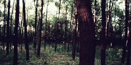 Brianplvgdr's profile banner image