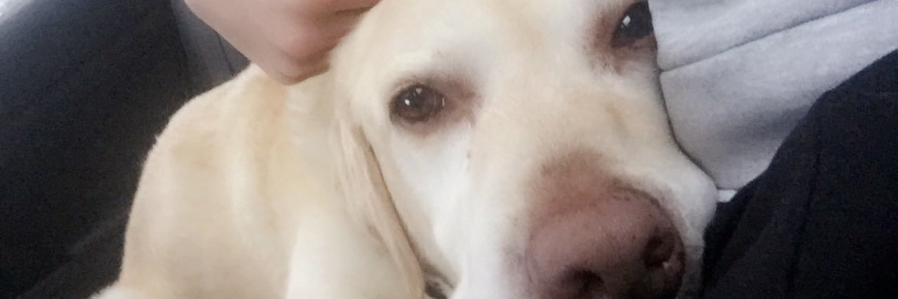 AngusMutch banner