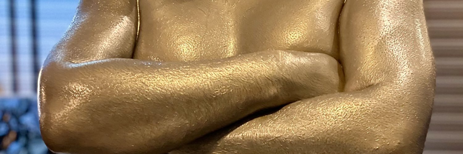 silvergolddance's profile banner image