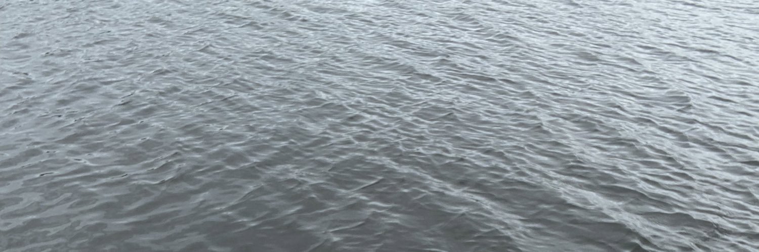 𝖎𝖘𝖆🦩 (@isabellesantto) / Posts / X