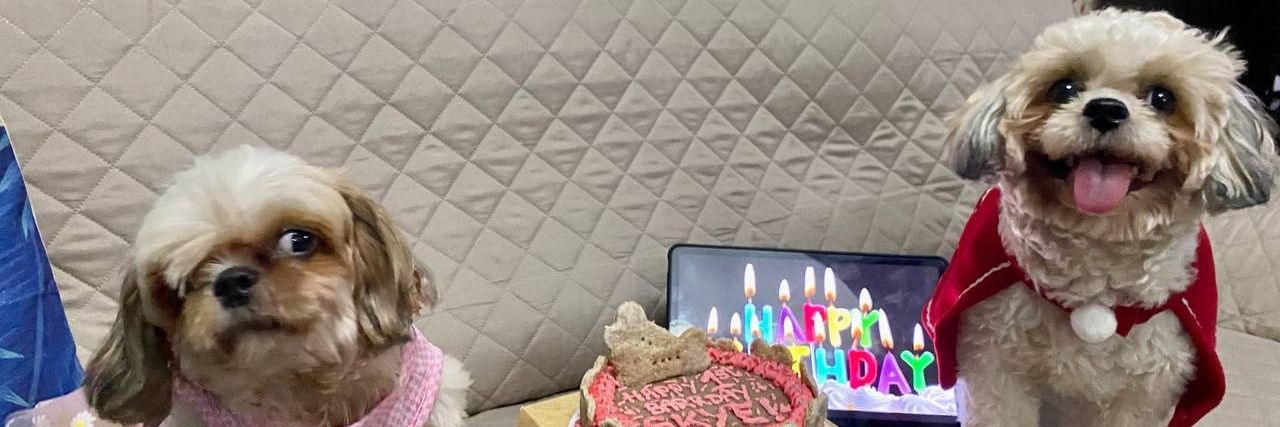 Aldredls's profile banner image