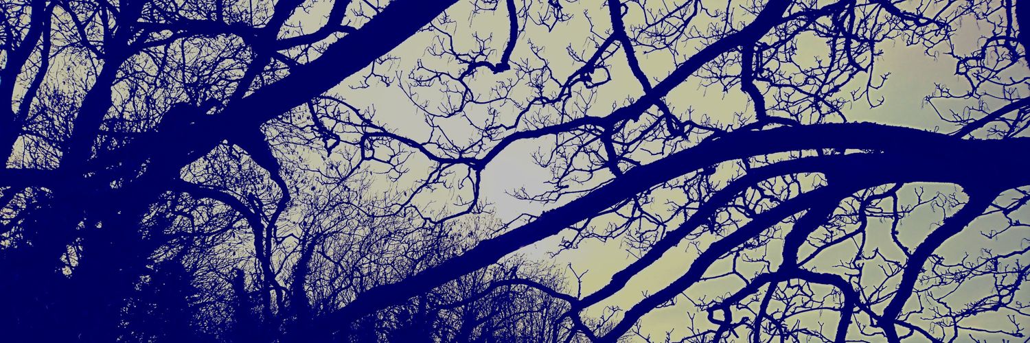 Rachael Durrant banner