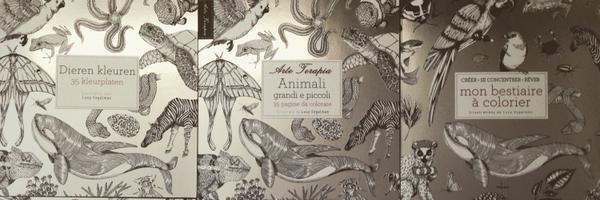 wideeyeded Profile Banner