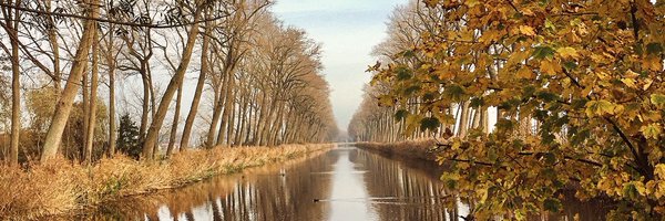 DestormeIgnace Profile Banner