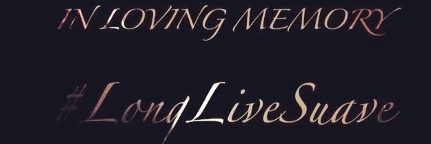 Lt_Hoola's profile banner image