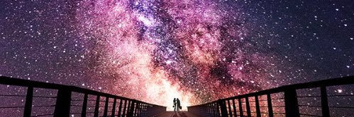 justanotherwild's profile banner image